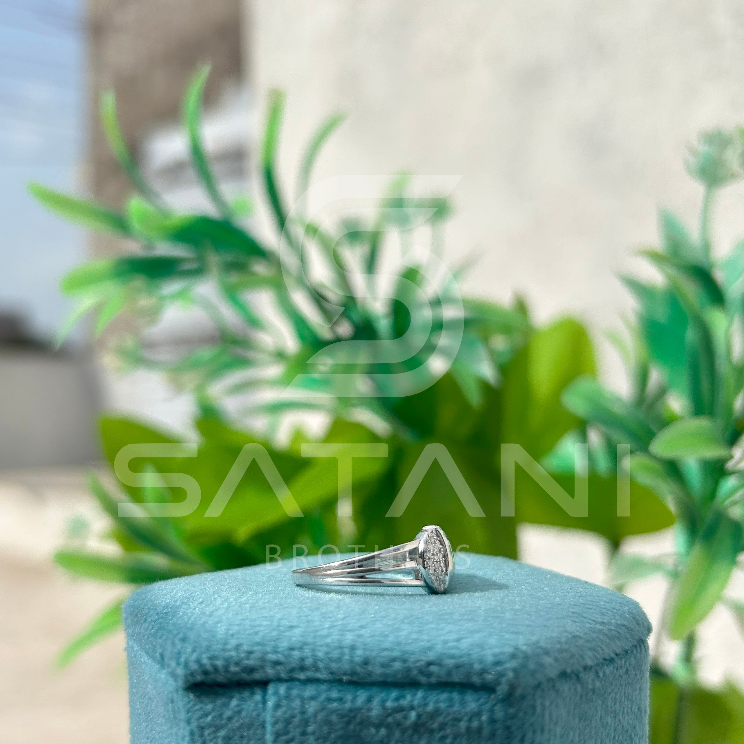 Ecliptic Harmony Ring
