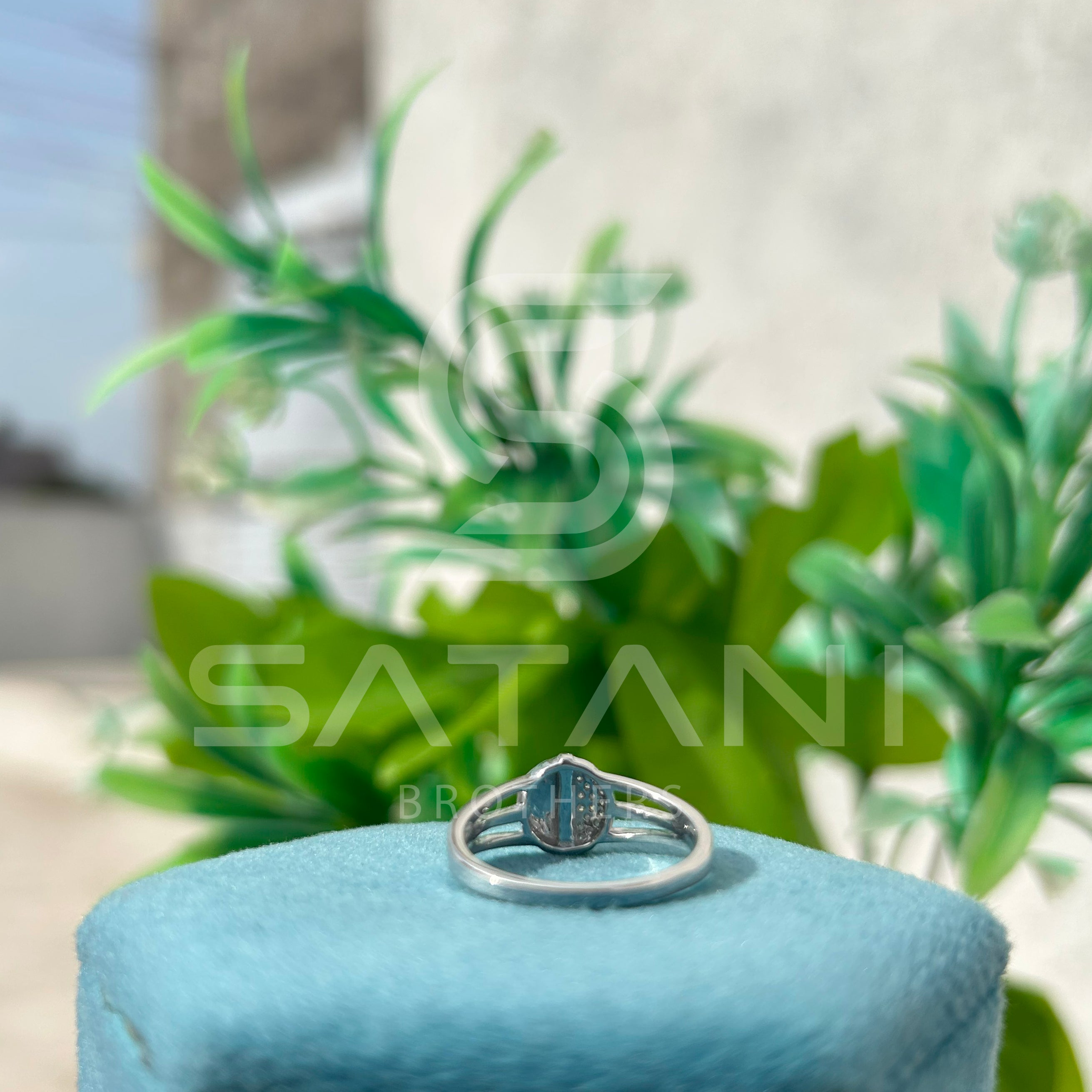 Ecliptic Harmony Ring