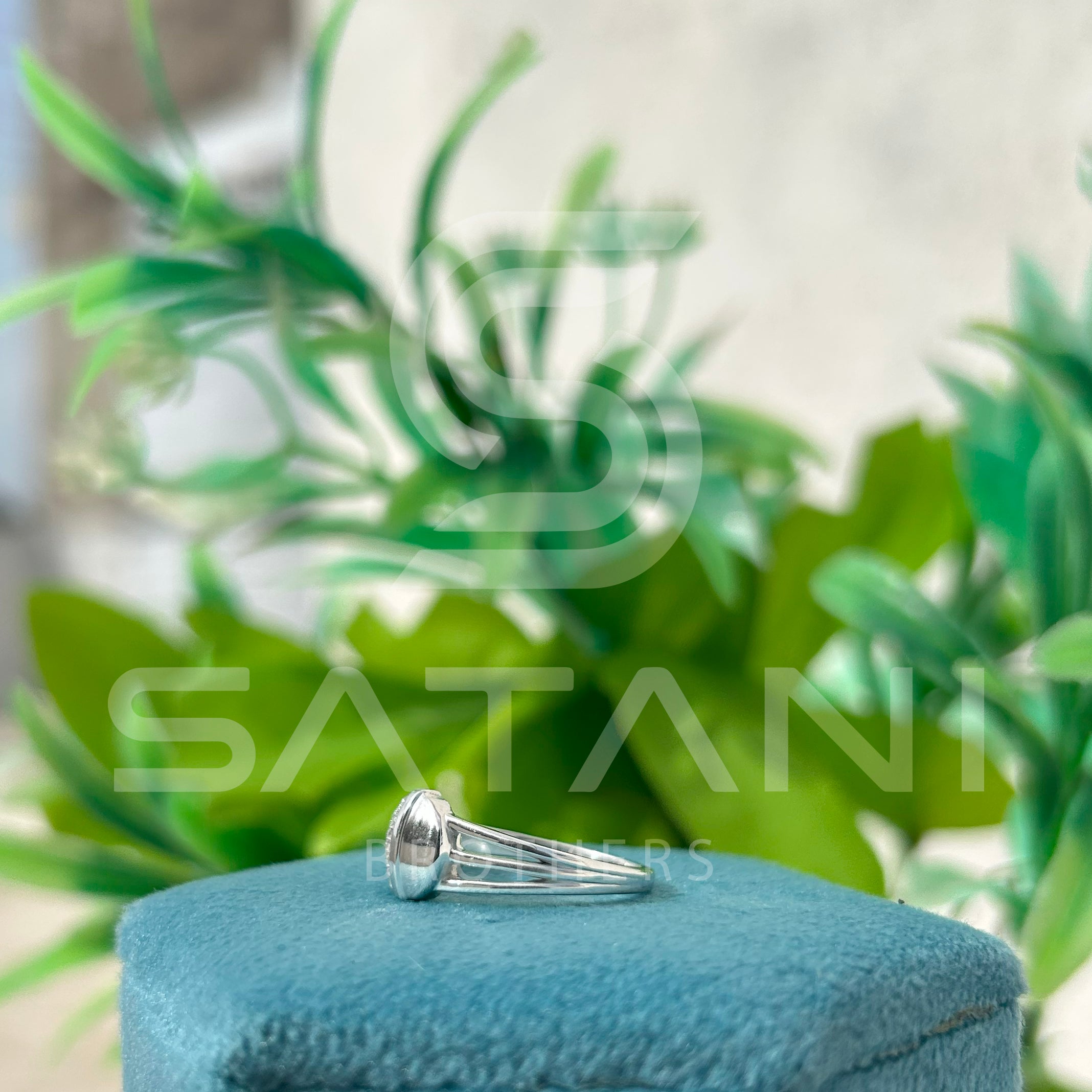 Ecliptic Harmony Ring