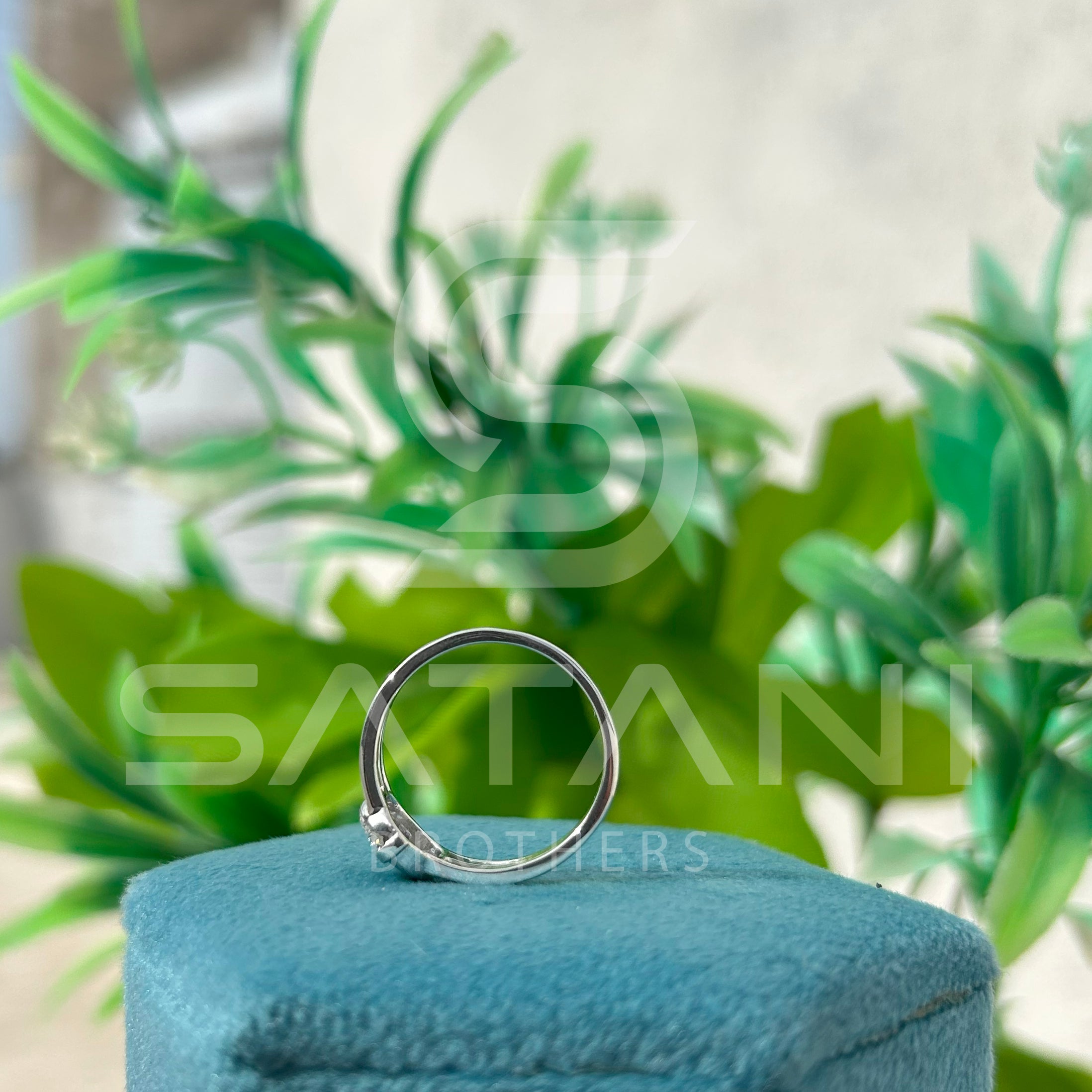 Ecliptic Harmony Ring